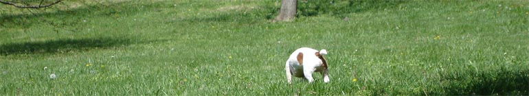 Live xxx that is gay nude chat Entirely free by denmark header image 2